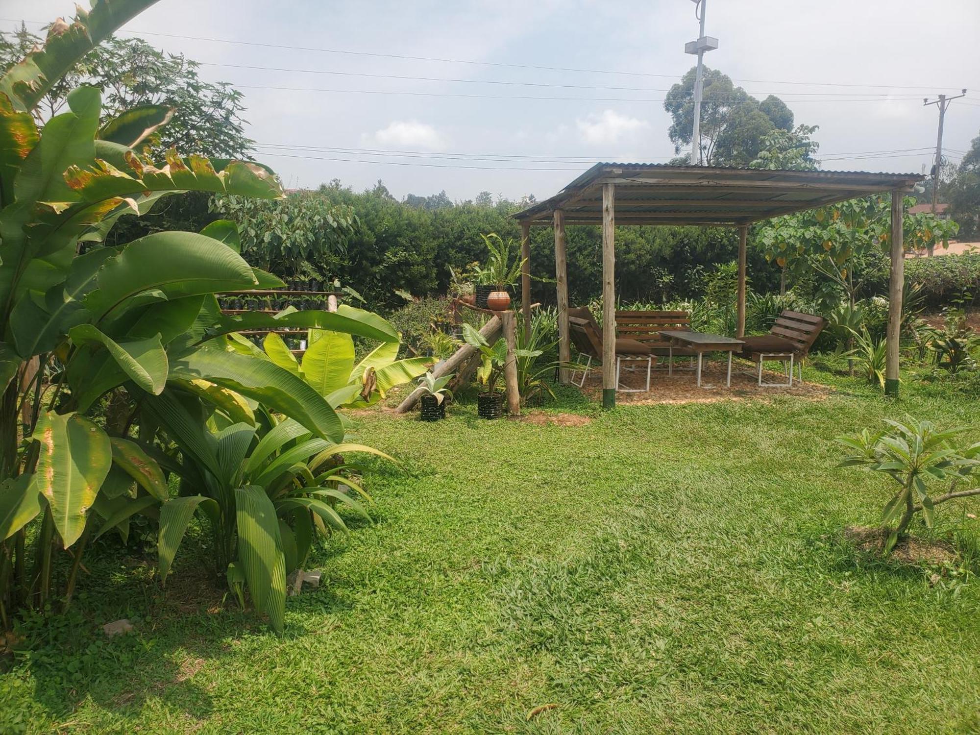 Gaia Eco Hub Bnb Fort Portal Exteriér fotografie