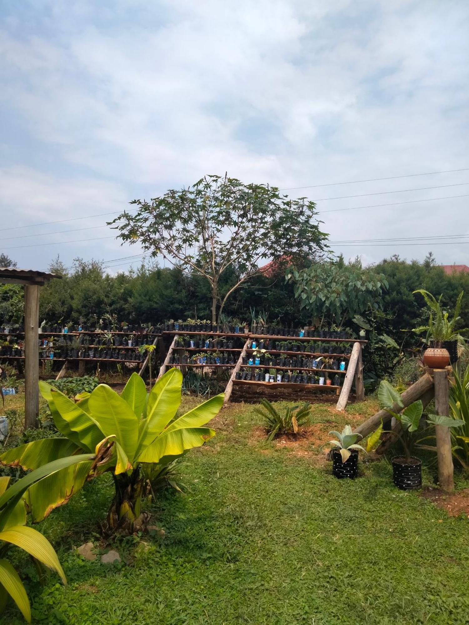 Gaia Eco Hub Bnb Fort Portal Exteriér fotografie
