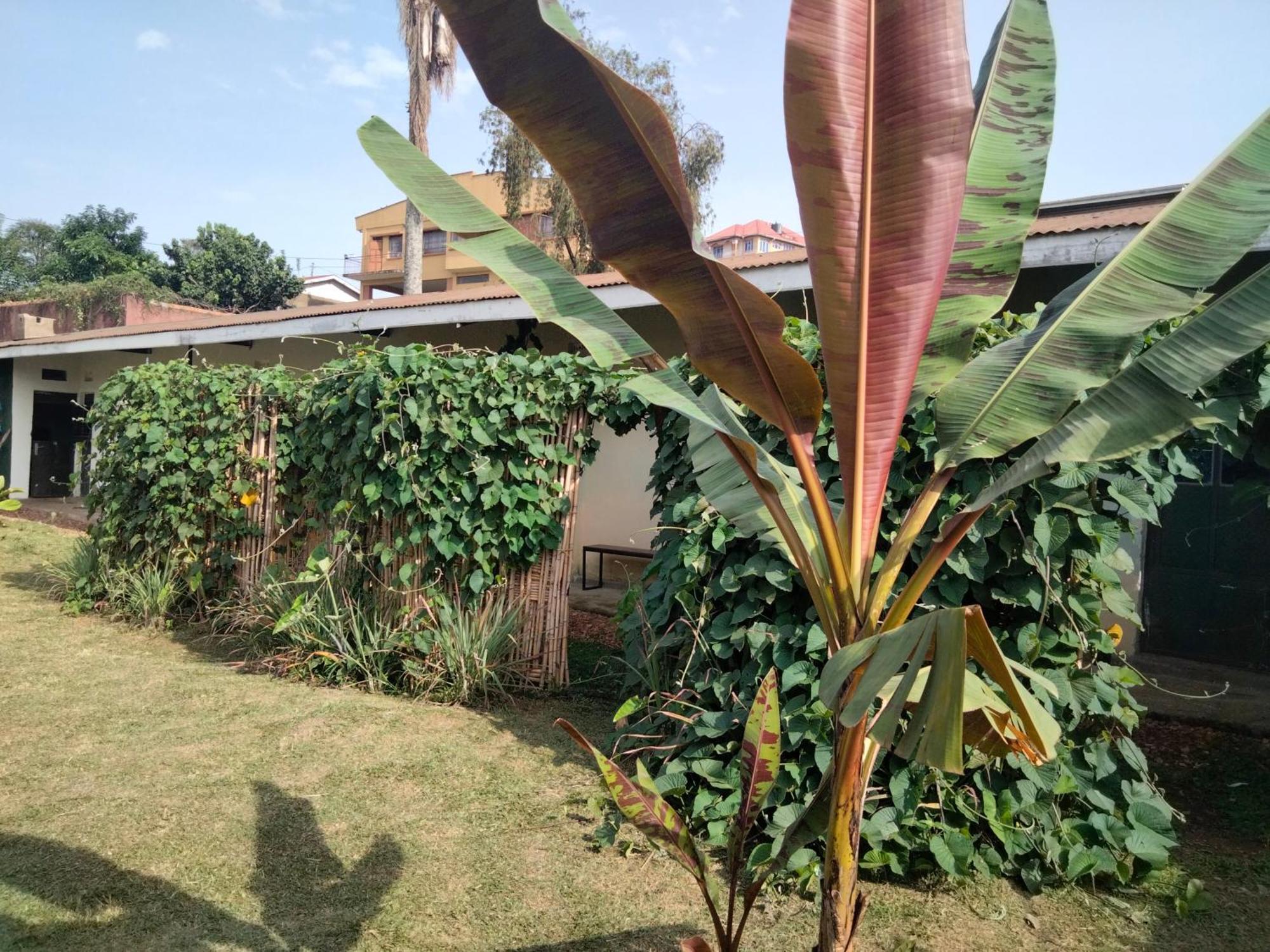Gaia Eco Hub Bnb Fort Portal Exteriér fotografie