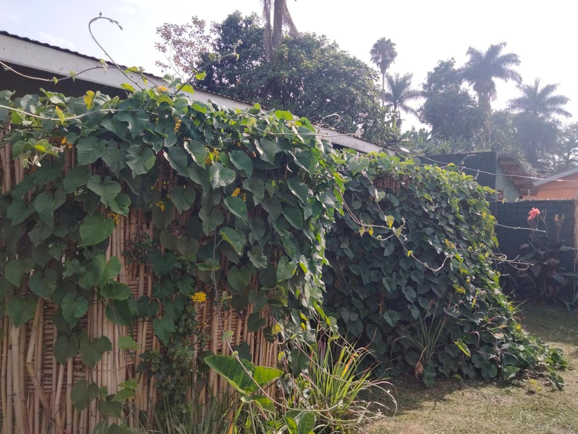 Gaia Eco Hub Bnb Fort Portal Exteriér fotografie