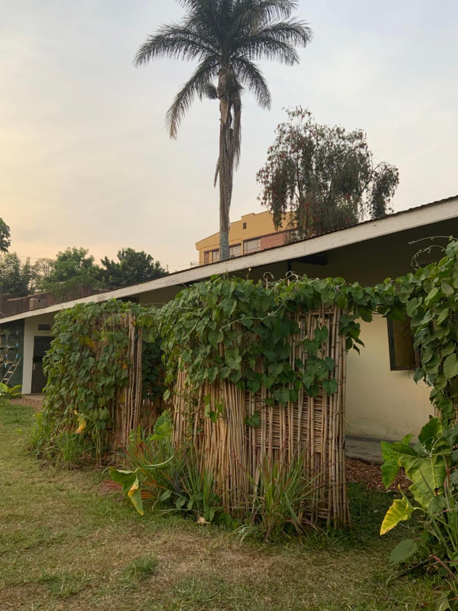 Gaia Eco Hub Bnb Fort Portal Exteriér fotografie